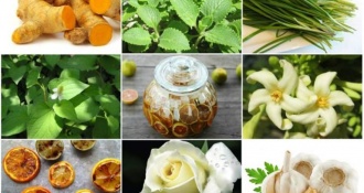 Thuốc điều trị COPD nào hiệu quả? Tây y và Đông y trong điều trị COPD